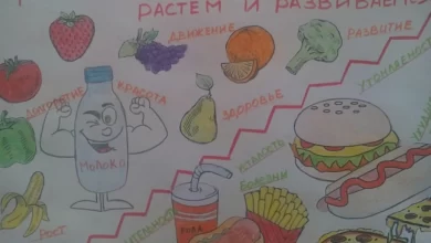 Photo of Мобильное приложение для здорового питания